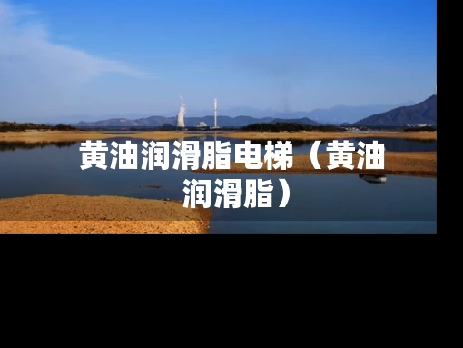 黄油润滑脂电梯（黄油 润滑脂）
