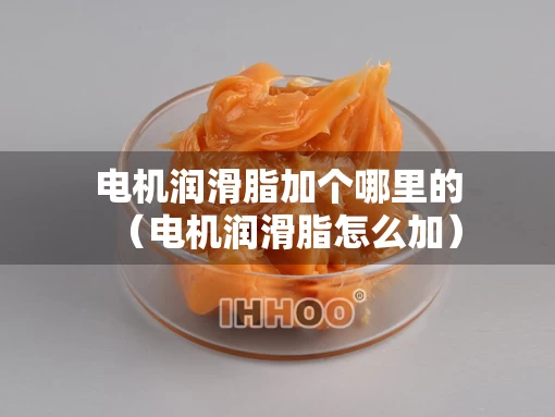 电机润滑脂加个哪里的（电机润滑脂怎么加）