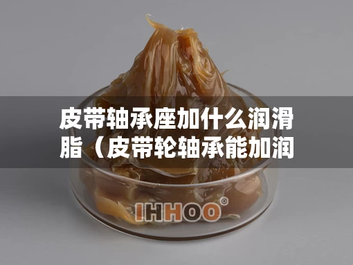 皮带轴承座加什么润滑脂（皮带轮轴承能加润滑油吗）