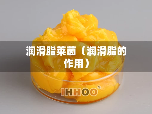 润滑脂莱茵（润滑脂的作用）