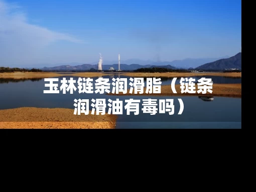 玉林链条润滑脂（链条润滑油有毒吗）