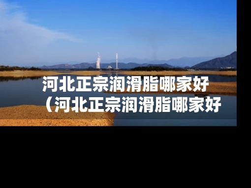 河北正宗润滑脂哪家好（河北正宗润滑脂哪家好些）