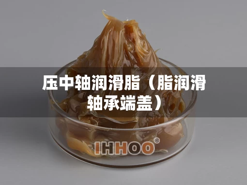 压中轴润滑脂（脂润滑轴承端盖）