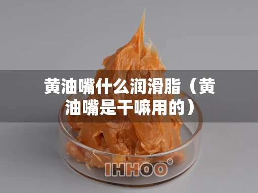 黄油嘴什么润滑脂（黄油嘴是干嘛用的）