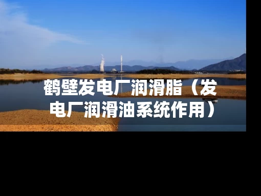 鹤壁发电厂润滑脂（发电厂润滑油系统作用）